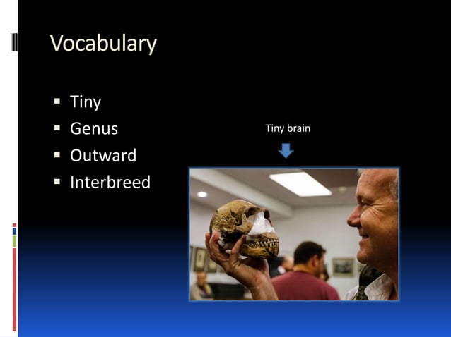 New species of human found! | PPTX