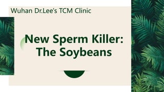 New Sperm Killer:
The Soybeans
Wuhan Dr.Lee's TCM Clinic
 