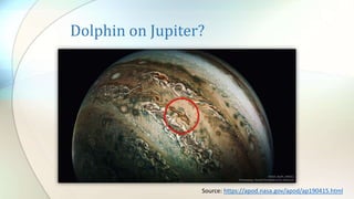 Dolphin on Jupiter?
Source: https://apod.nasa.gov/apod/ap190415.html
 