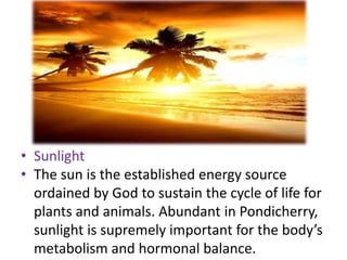 • Sunlight
• The sun is the established energy source
ordained by God to sustain the cycle of life for
plants and animals....