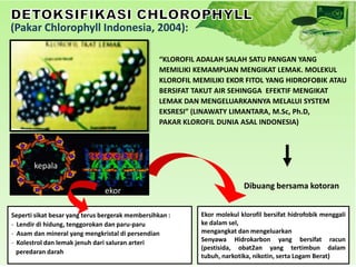 (Pakar Chlorophyll Indonesia, 2004):

                                                  “KLOROFIL ADALAH SALAH SATU PANGAN YANG
                                                  MEMILIKI KEMAMPUAN MENGIKAT LEMAK. MOLEKUL
                                                  KLOROFIL MEMILIKI EKOR FITOL YANG HIDROFOBIK ATAU
                                                  BERSIFAT TAKUT AIR SEHINGGA EFEKTIF MENGIKAT
                                                  LEMAK DAN MENGELUARKANNYA MELALUI SYSTEM
                                                  EKSRESI” (LINAWATY LIMANTARA, M.Sc, Ph.D,
                                                  PAKAR KLOROFIL DUNIA ASAL INDONESIA)




       kepala

                                                                          Dibuang bersama kotoran
                               ekor

Seperti sikat besar yang terus bergerak membersihkan :      Ekor molekul klorofil bersifat hidrofobik menggali
- Lendir di hidung, tenggorokan dan paru-paru               ke dalam sel,
- Asam dan mineral yang mengkristal di persendian           mengangkat dan mengeluarkan
- Kolestrol dan lemak jenuh dari saluran arteri             Senyawa Hidrokarbon yang bersifat racun
                                                            (pestisida, obat2an yang tertimbun dalam
  peredaran darah
                                                            tubuh, narkotika, nikotin, serta Logam Berat)
 