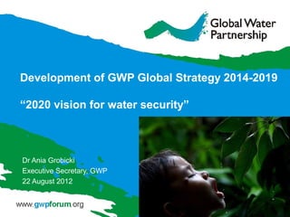 Development of GWP Global Strategy 2014-2019

“2020 vision for water security”



Dr Ania Grobicki
Executive Secretary, GWP
22 August 2012
 