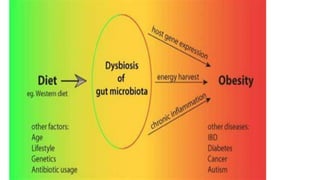 New strategies in management of obesity