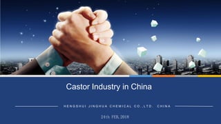 Castor Industry in China
24th FEB,2018
H E N G S H U I J I N G H U A C H E M I C A L C O . , L T D . C H I N A
 