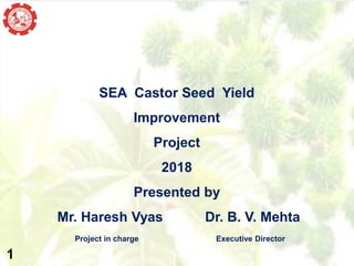 MOMENTUM OF TIME
SEA Castor Seed Yield
Improvement
Project
2018
Presented by
Mr. Haresh Vyas Dr. B. V. Mehta
Project in charge Executive Director
1
 