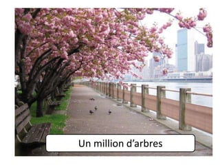 Un million d’arbres

 