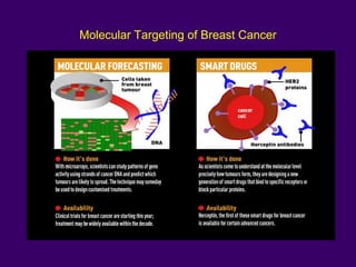 Molecular Targeting of Breast Cancer
 