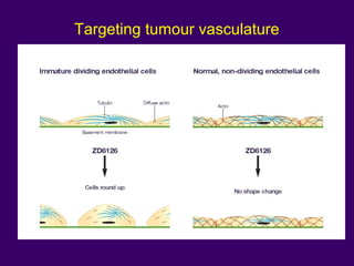Targeting tumour vasculature
 