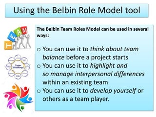 team role theory