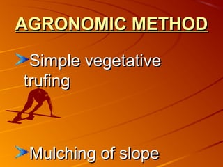 New techniques of erosion controls on hill roads[ a v shinde] | PPT