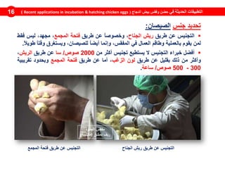 ‫في‬ ‫الحديثة‬ ‫التطبيقات‬‫الدجاج‬ ‫بيض‬ ‫وفقس‬ ‫حضن‬(Recent applications in incubation & hatching chicken eggs)16
‫تحديد‬‫جنس‬‫الصيصان‬:
‫التجنيس‬‫عن‬‫طريق‬‫ريش‬‫الجناح‬،ً‫ا‬‫وخصوص‬‫عن‬‫طريق‬‫فتحة‬‫المجمع‬،،‫مجهد‬‫ليس‬‫فقط‬
‫لمن‬‫يقوم‬‫بالعملية‬‫وطاقم‬‫العمال‬‫في‬،‫المفقس‬‫وإنما‬ً‫ا‬‫أيض‬،‫للصيصان‬‫ويستغرق‬ً‫ا‬‫وقت‬ً‫ال‬‫طوي‬.
‫أفضل‬‫خبراء‬‫التجنيس‬‫ال‬‫يستطيع‬‫تجنيس‬‫أكثر‬‫من‬2000‫صوص‬/‫سا‬‫عن‬‫طريق‬‫الريش‬،
‫وأكثر‬‫من‬‫ذلك‬‫بقليل‬‫عن‬‫طريق‬‫لون‬‫الزغب‬،‫أما‬‫عن‬‫طريق‬‫فتحة‬‫المجمع‬‫وبحدود‬‫تقريبية‬
300-500‫صوص‬/‫ساعة‬.
‫الجدود‬ ‫مفقس‬
‫دمشق‬ ‫ريف‬(‫مقيليبة‬)
‫الجناح‬ ‫ريش‬ ‫طريق‬ ‫عن‬ ‫التجنيس‬‫المجمع‬ ‫فتحة‬ ‫طريق‬ ‫عن‬ ‫التجنيس‬
 