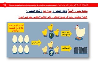 ‫في‬ ‫الحديثة‬ ‫التطبيقات‬‫الدجاج‬ ‫بيض‬ ‫وفقس‬ ‫حضن‬(Recent applications in incubation & hatching chicken eggs)17
‫تحديد‬‫جنس‬‫األجنة‬‫داخل‬‫البيض‬(ovoIn)‫أثناء‬‫الحضن‬:
‫وفي‬ ،‫المفاقس‬ ‫جميع‬ ‫في‬ ً‫ا‬‫سابق‬ ‫التجنيس‬ ‫عملية‬‫منها‬ ‫العظمي‬ ‫الغالبية‬‫اليوم‬ ‫حتى‬:
‫الجنس‬ ‫تحديد‬ ‫اليمكن‬
‫الصيصان‬ ‫خروج‬ ‫قبل‬
‫البيض‬ ‫من‬
‫البيض‬ ‫فقس‬
‫اإلناث‬ ‫تربى‬
‫البيض‬ ‫إلنتاج‬
‫الذكور‬ ‫إعدام‬
 