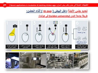 ‫في‬ ‫الحديثة‬ ‫التطبيقات‬‫الدجاج‬ ‫بيض‬ ‫وفقس‬ ‫حضن‬(Recent applications in incubation & hatching chicken eggs)21
‫تحديد‬‫جنس‬‫األجنة‬‫داخل‬‫البيض‬(ovoIn)‫أثناء‬‫الحضن‬:
‫الهوائية‬ ‫الحجرة‬ ‫تحديد‬
‫الحرارية‬ ‫بالكاميرا‬
‫القشرة‬ ‫من‬ ‫جزء‬ ‫قطع‬
‫الليزر‬ ‫بأشعة‬
‫من‬ ‫المقتطع‬ ‫الجزء‬ ‫رفع‬
‫البيضة‬ ‫قشرة‬
‫الجنين‬ ‫جنس‬ ‫تحديد‬
‫الضوئي‬ ‫الطيف‬ ‫بمقياس‬
‫المقتطع‬ ‫الجزء‬ ‫إعادة‬
‫ولصقه‬ ‫القشرة‬ ‫من‬
‫لجنس‬ ً‫ا‬‫وفق‬ ‫البيض‬ ‫فرز‬
‫البيضة‬ ‫داخل‬ ‫الجنين‬
‫الحضانة‬ ‫إلى‬ ‫يعاد‬
‫كعلف‬ ‫ويستخدم‬ ‫يستبعد‬
‫التجميل‬ ‫مواد‬ ‫في‬ ‫أو‬
‫اليدن‬ ‫جامعة‬ ‫طريقة‬(Leiden university)‫هولندة‬ ‫في‬:
 
