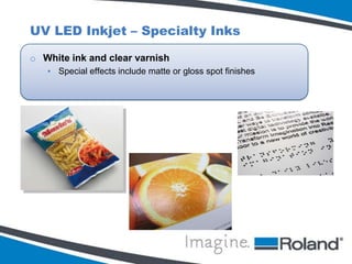 Roland DGA – Who we are?

 