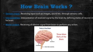 How Brain Works ?
▪ Sensory Input- Receiving input such as images, sound etc. through sensory cells.
▪ Interpretation- Interpretation of received signal by the brain by defining states of neuron in
he brain.
▪ Motor output- Receiving of electric signal from brain to perform any action.
 