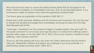 We must not be too hasty to uproot and destroy those plants that do not appear to be
wheat. Without revelation, it is impossible to be sure. And, as we discussed above, it is a
most serious matter to refuse to sow when the opportunity presents itself.
The Savior gave an explanation of this parable in D&C 86:1-7:
Notice that in both accounts, Matthew and the Doctrine and Covenants, the Lord has had
to restrain the servants and angels from immediately removing the tares from the field.
Neal Maxwell said of this:
“Years ago, I wondered over the scriptural imagery of angels waiting "day and night" for
"the great command" to come down and reap the tares in a wicked and suffering world; it
seemed rather eager to me (see D&C 38:12; 86:5). Given such massive, needless human
suffering, I don't wonder anymore!
“Even so, the final reaping will occur only when the Father determines that the world is
‘fully ripe.’ Meanwhile, brothers and sisters, the challenge is surviving spiritually in a
deteriorating ‘wheat and tares world’” (D&C 86:7).
 