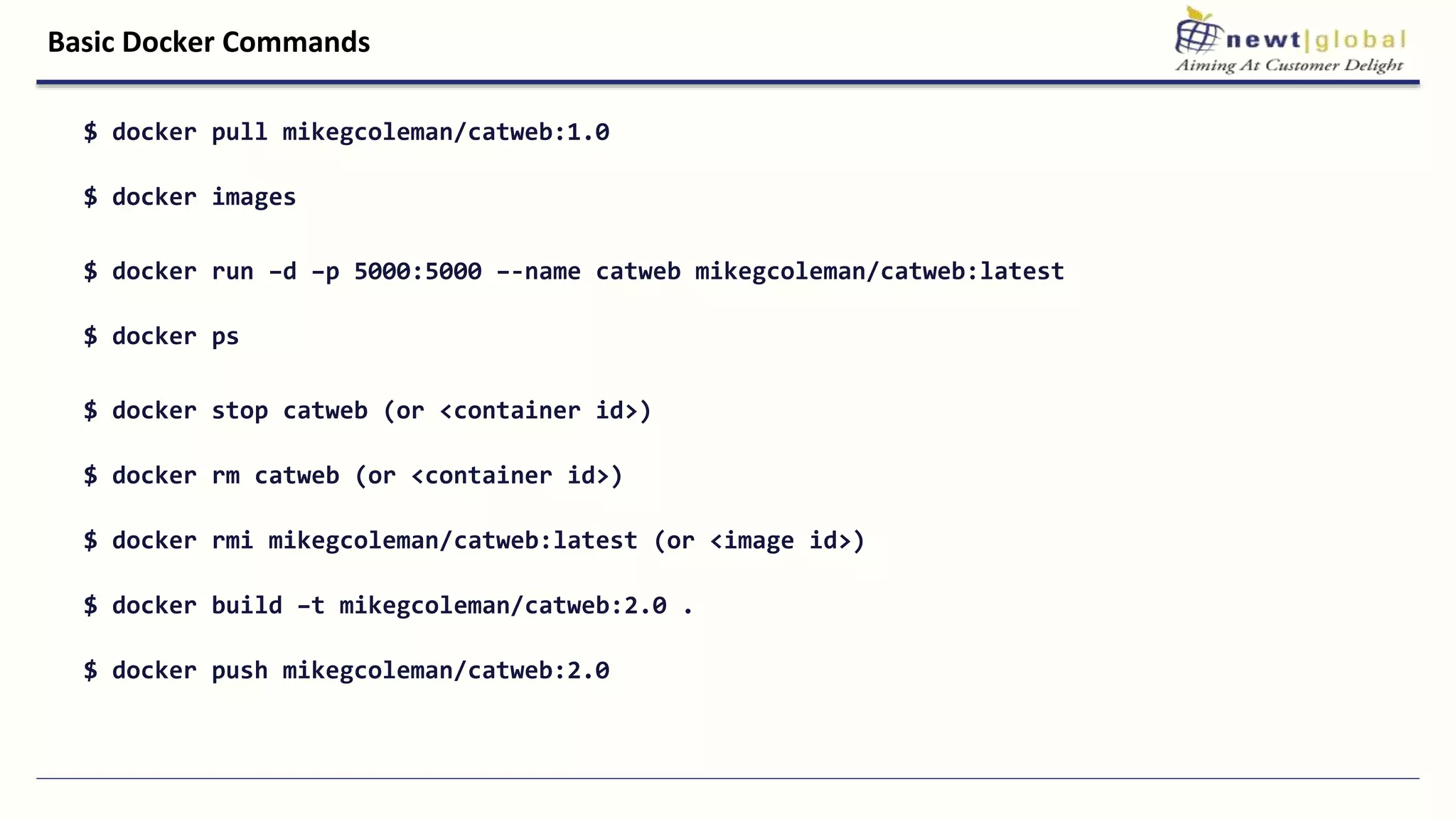 Basic Docker Commands
$ docker pull mikegcoleman/catweb:1.0
$ docker images
$ docker run –d –p 5000:5000 –-name catweb mikegcoleman/catweb:latest
$ docker ps
$ docker stop catweb (or <container id>)
$ docker rm catweb (or <container id>)
$ docker rmi mikegcoleman/catweb:latest (or <image id>)
$ docker build –t mikegcoleman/catweb:2.0 .
$ docker push mikegcoleman/catweb:2.0
 
