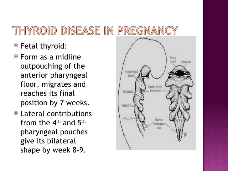 Thyroid Disease in Pregnancy