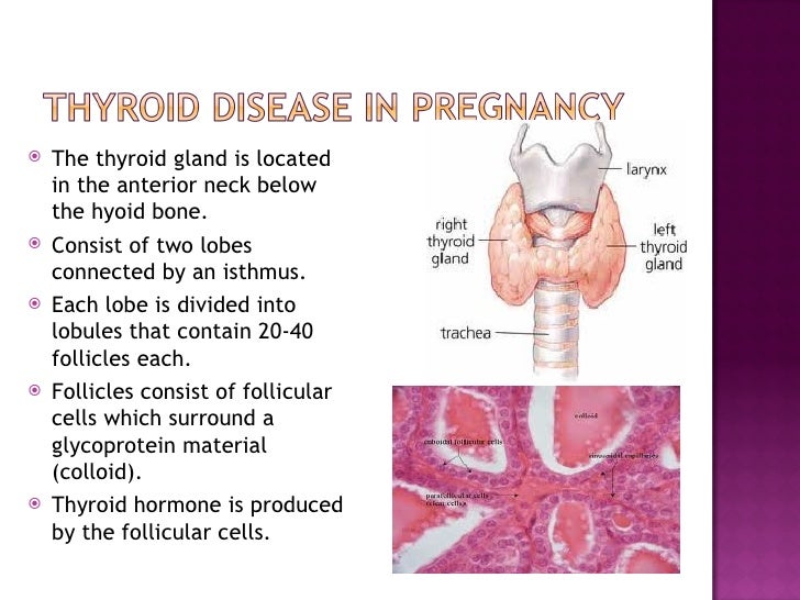 Thyroid Disease in Pregnancy