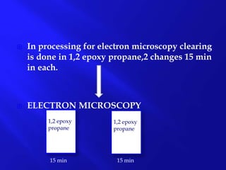  In processing for electron microscopy clearing
is done in 1,2 epoxy propane,2 changes 15 min
in each.
 ELECTRON MICROSCOPY
1,2 epoxy
propane
1,2 epoxy
propane
15 min15 min
 