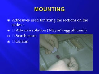  Adhesives used for fixing the sections on the
slides :
 Albumin solution ( Mayor’s egg albumin)
 Starch paste
 Gelatin
 