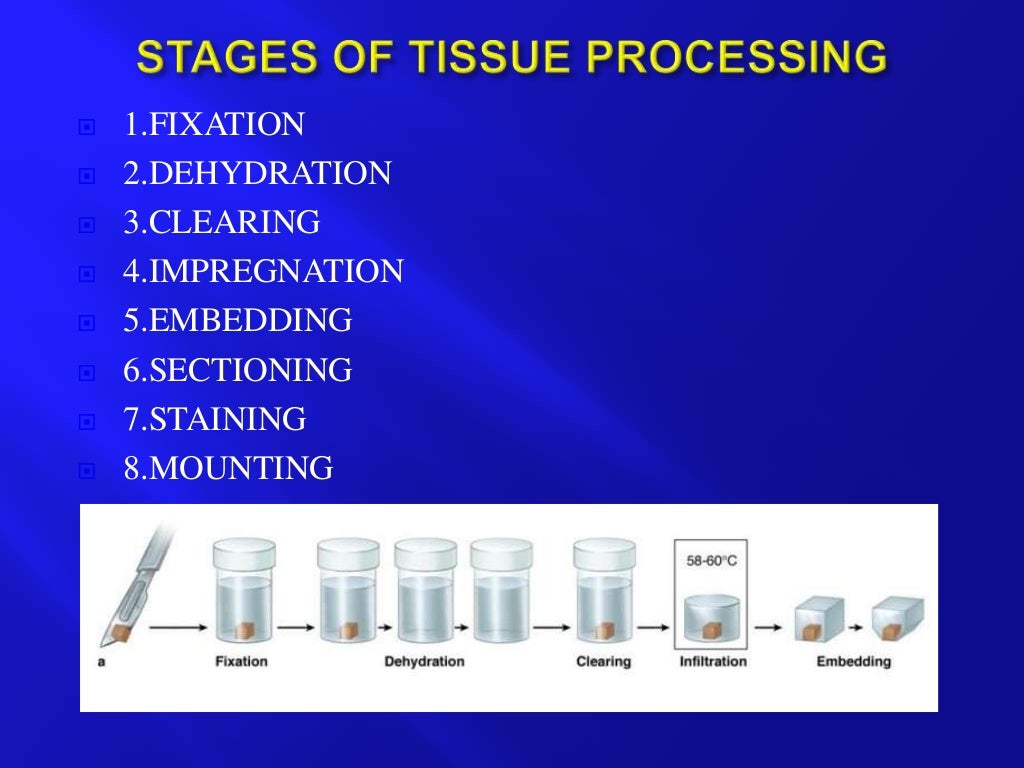TISSUE PROCESSING SEMINAR