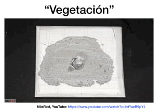 “Vegetación”
NileRed, YouTube: https://www.youtube.com/watch?v=IrdYueB9pY4
 