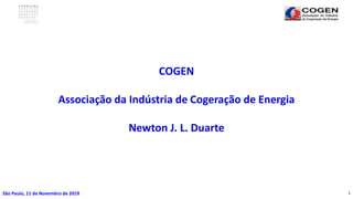 1
COGEN
Associação da Indústria de Cogeração de Energia
Newton J. L. Duarte
São Paulo, 11 de Novembro de 2019
 