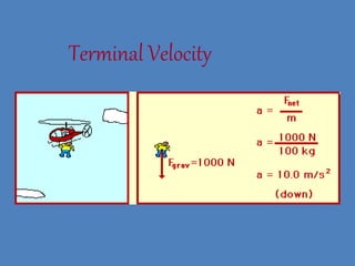 Terminal Velocity 
 