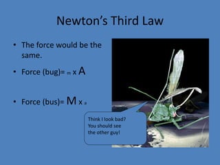 Newton’s Third Law 
• The force would be the 
same. 
• Force (bug)= m x A 
• Force (bus)= Mx a 
Think I look bad? 
You should see 
the other guy! 
 