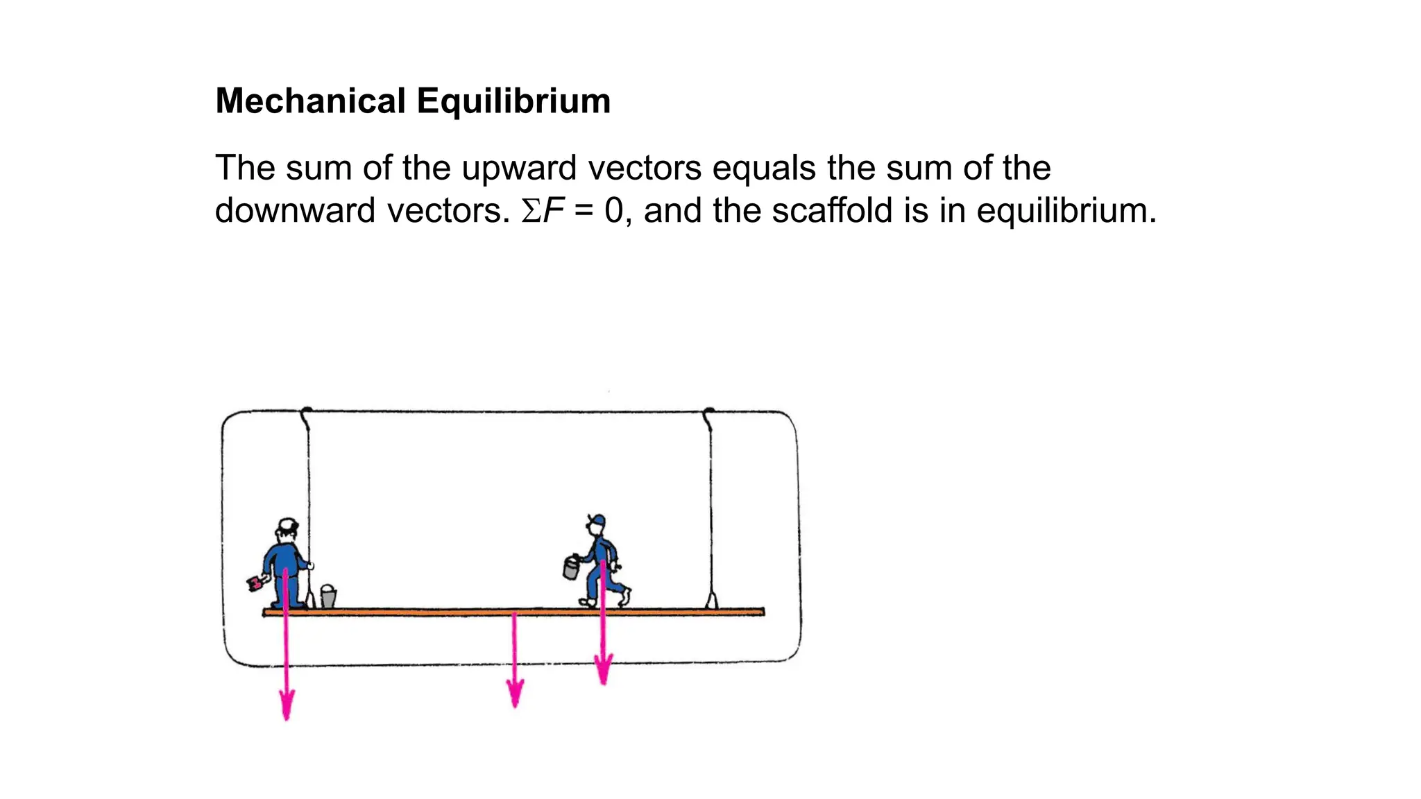 The sum of the upward vectors equals the sum of the
downward vectors. F = 0, and the scaffold is in equilibrium.
Mechanical Equilibrium
 