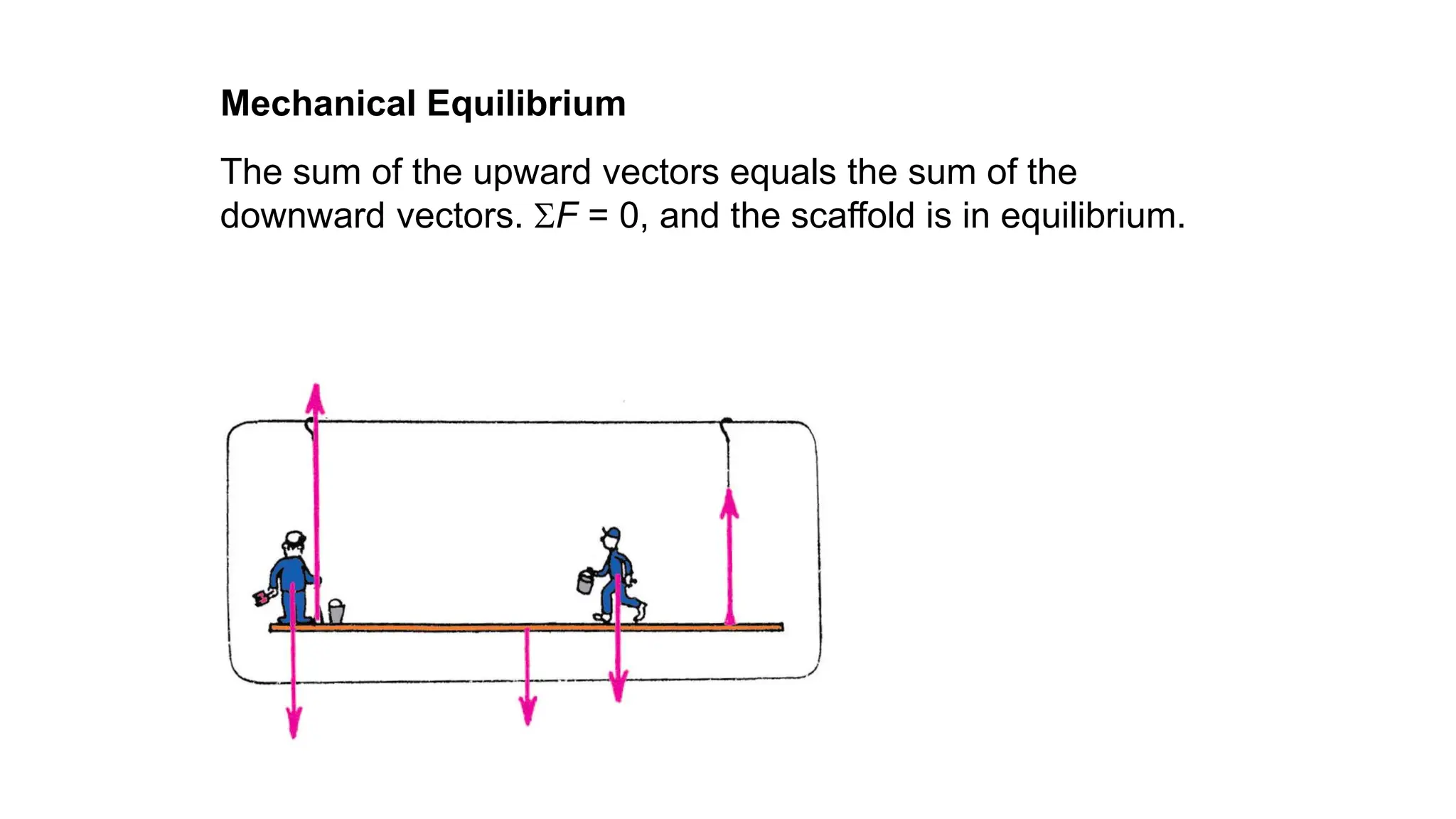 The sum of the upward vectors equals the sum of the
downward vectors. F = 0, and the scaffold is in equilibrium.
Mechanical Equilibrium
 