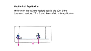 The sum of the upward vectors equals the sum of the
downward vectors. F = 0, and the scaffold is in equilibrium.
Mechanical Equilibrium
 