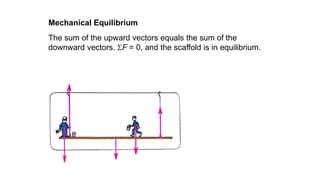 The sum of the upward vectors equals the sum of the
downward vectors. F = 0, and the scaffold is in equilibrium.
Mechanical Equilibrium
 