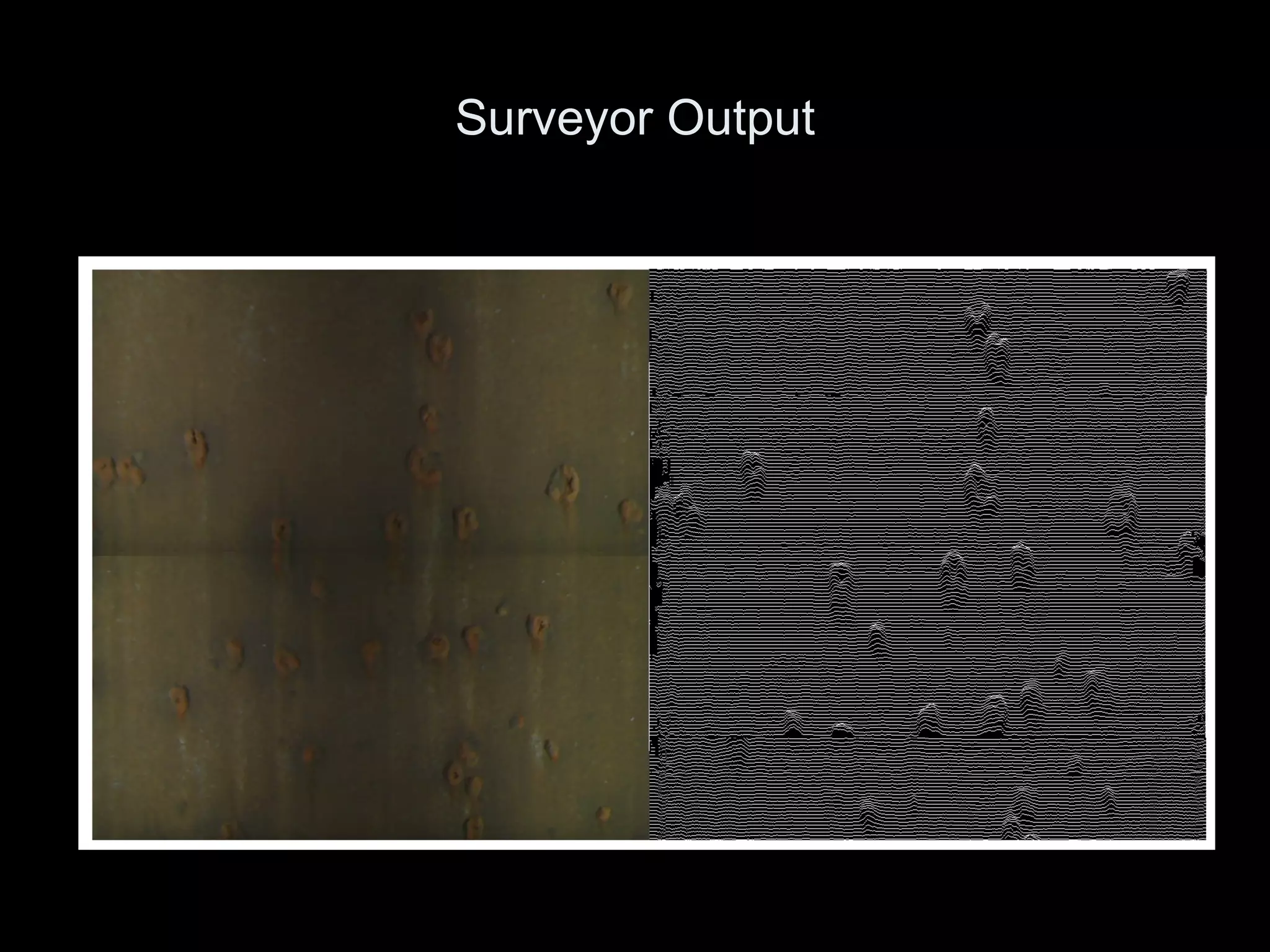 Surveyor Output 