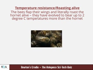 –
Temperature resistance/Roasting alive
The bees flap their wings and literally roast the
hornet alive – they have evolved to bear up to 2
degree C temperatures more than the hornet
 