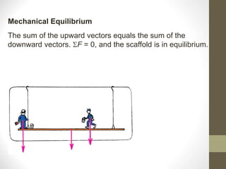 The sum of the upward vectors equals the sum of the
downward vectors. F = 0, and the scaffold is in equilibrium.
Mechanical Equilibrium
 