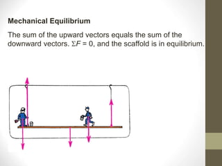 The sum of the upward vectors equals the sum of the
downward vectors. F = 0, and the scaffold is in equilibrium.
Mechanical Equilibrium
 