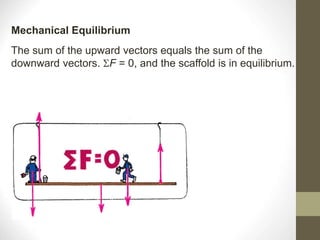 The sum of the upward vectors equals the sum of the
downward vectors. F = 0, and the scaffold is in equilibrium.
Mechanical Equilibrium
 