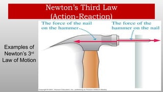Newton’s Third Law
(Action-Reaction)
Examples of
Newton’s 3rd
Law of Motion
 