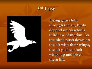 3 rd  Law Flying gracefully through the air, birds depend on Newton’s third law of motion. As the birds push down on the a...