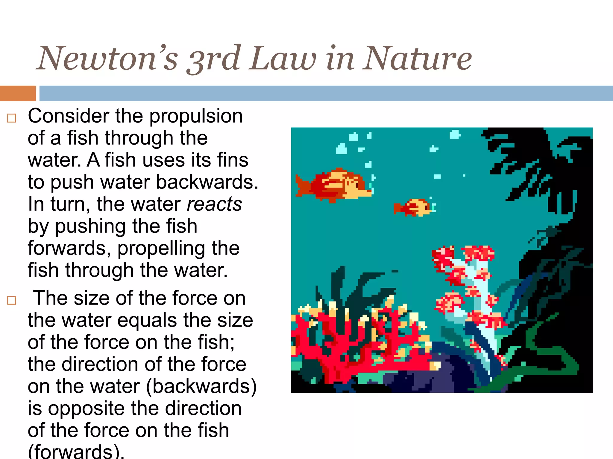 Newton’s 3rd Law in NatureConsider the propulsion of a fish through the water. A fish uses its fins to push water backwards.  In turn, the water reacts by pushing the fish forwards, propelling the fish through the water. The size of the force on the water equals the size of the force on the fish; the direction of the force on the water (backwards) is opposite the direction of the force on the fish (forwards).
