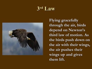 3 rd  Law Flying gracefully through the air, birds depend on Newton’s third law of motion. As the birds push down on the air with their wings, the air pushes their wings up and gives them lift. 