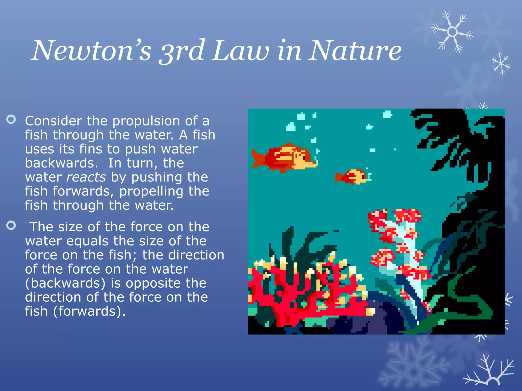 Newton’s 3rd Law in Nature

 Consider the propulsion of a
  fish through the water. A fish
  uses its fins to push water
  backwards. In turn, the
  water reacts by pushing the
  fish forwards, propelling the
  fish through the water.
 The size of the force on the
  water equals the size of the
  force on the fish; the direction
  of the force on the water
  (backwards) is opposite the
  direction of the force on the
  fish (forwards).
 