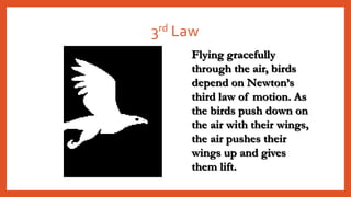 3rd Law
Flying gracefully
through the air, birds
depend on Newton’s
third law of motion. As
the birds push down on
the air with their wings,
the air pushes their
wings up and gives
them lift.
 