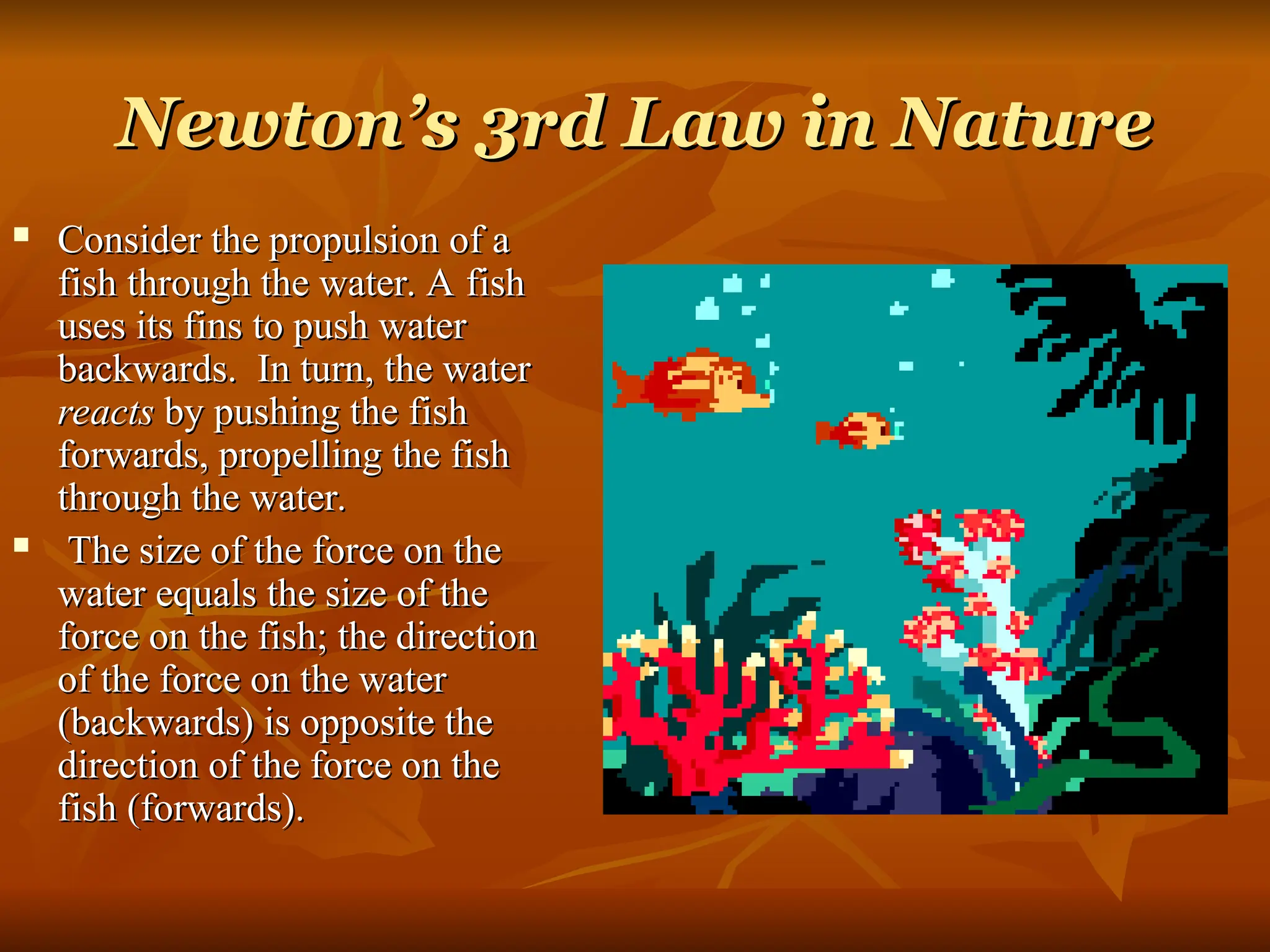 Newton’s 3rd Law in Nature
Newton’s 3rd Law in Nature
 Consider the propulsion of a
Consider the propulsion of a
fish through the water. A fish
fish through the water. A fish
uses its fins to push water
uses its fins to push water
backwards. In turn, the water
backwards. In turn, the water
reacts
reacts by pushing the fish
by pushing the fish
forwards, propelling the fish
forwards, propelling the fish
through the water.
through the water.
 The size of the force on the
The size of the force on the
water equals the size of the
water equals the size of the
force on the fish; the direction
force on the fish; the direction
of the force on the water
of the force on the water
(backwards) is opposite the
(backwards) is opposite the
direction of the force on the
direction of the force on the
fish (forwards).
fish (forwards).
 
