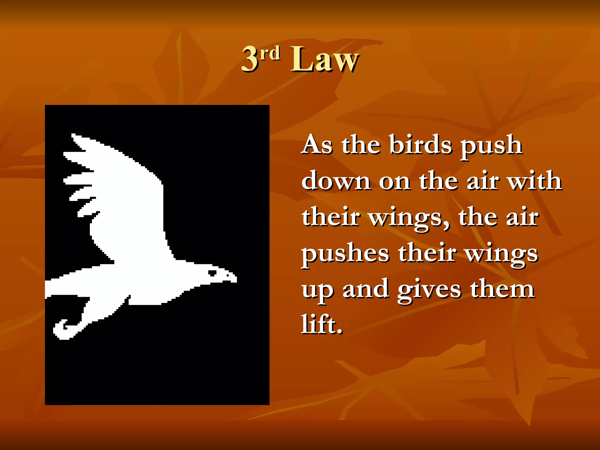 3 rd  Law As the birds push down on the air with their wings, the air pushes their wings up and gives them lift. 