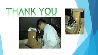 Newton's ring experiment