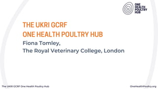The UKRI GCRF One Health Poultry Hub OneHealthPoultry.org
THE UKRI GCRF
ONE HEALTH POULTRY HUB
Fiona Tomley,
The Royal Veterinary College, London
 