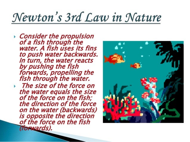 newton third law of motion ppt